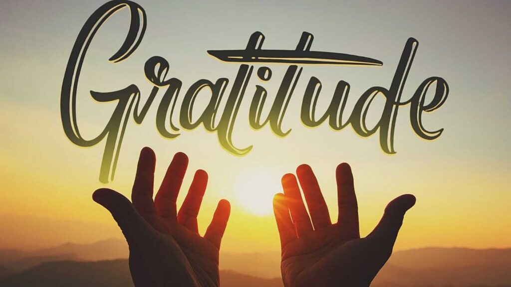Bible Verses About Gratitude